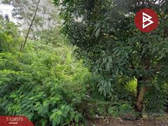 ขายที่ดิน เนื้อที่ 7 ไร่ 1.6 ตารางวา เชิงเนิน เมืองระยอง ระยอง-202512121303331765519413376.jpg