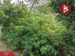 ขายที่ดิน เนื้อที่ 7 ไร่ 1.6 ตารางวา เชิงเนิน เมืองระยอง ระยอง-202512121303331765519413917.jpg