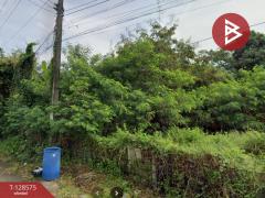 ขายที่ดิน เนื้อที่ 7 ไร่ 1.6 ตารางวา เชิงเนิน เมืองระยอง ระยอง-202512121303341765519414452.jpg