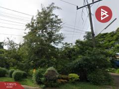 ขายที่ดิน เนื้อที่ 7 ไร่ 1.6 ตารางวา เชิงเนิน เมืองระยอง ระยอง-202512121303351765519415517.jpg