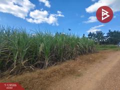 ขายที่ดิน เนื้อที่ 3 ไร่ ด่านมะขามเตี้ย กาญจนบุรี-202512121324171765520657641.jpg