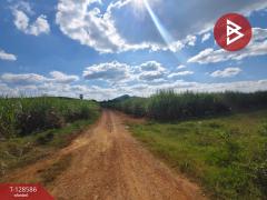 ขายที่ดิน เนื้อที่ 3 ไร่ ด่านมะขามเตี้ย กาญจนบุรี-202512121324181765520658169.jpg