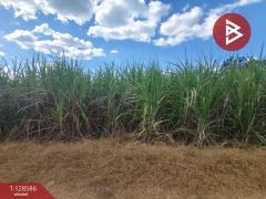 ขายที่ดิน เนื้อที่ 3 ไร่ ด่านมะขามเตี้ย กาญจนบุรี-202512121324181765520658703.jpg