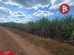 ขายที่ดิน เนื้อที่ 3 ไร่ ด่านมะขามเตี้ย กาญจนบุรี-202512121324191765520659230.jpg