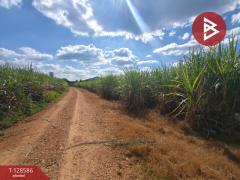 ขายที่ดิน เนื้อที่ 3 ไร่ ด่านมะขามเตี้ย กาญจนบุรี-202512121324191765520659757.jpg