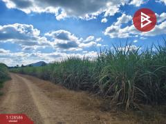 ขายที่ดิน เนื้อที่ 3 ไร่ ด่านมะขามเตี้ย กาญจนบุรี-202512121324201765520660807.jpg