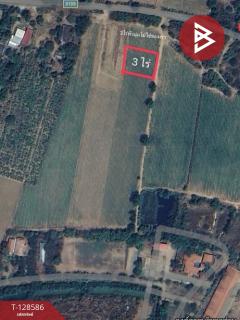 ขายที่ดิน เนื้อที่ 3 ไร่ ด่านมะขามเตี้ย กาญจนบุรี-202512121324211765520661868.jpg
