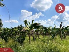 ขายที่ดินพร้อมสิ่งปลูกสร้าง เนื้อที่ 8 ไร่ 2 งาน 91 ตร.วา ท่ายาง เพชรบุรี-202512121401461765522906677.jpg