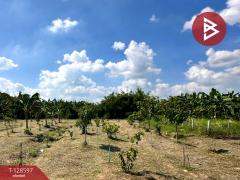 ขายที่ดินพร้อมสิ่งปลูกสร้าง เนื้อที่ 8 ไร่ 2 งาน 91 ตร.วา ท่ายาง เพชรบุรี-202512121401471765522907229.jpg