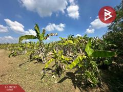 ขายที่ดินพร้อมสิ่งปลูกสร้าง เนื้อที่ 8 ไร่ 2 งาน 91 ตร.วา ท่ายาง เพชรบุรี-202512121401481765522908878.jpg