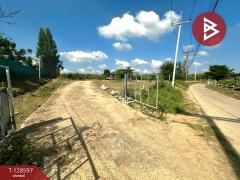 ขายที่ดินพร้อมสิ่งปลูกสร้าง เนื้อที่ 8 ไร่ 2 งาน 91 ตร.วา ท่ายาง เพชรบุรี-202512121401491765522909980.jpg