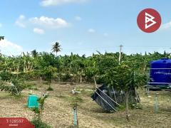 ขายที่ดินพร้อมสิ่งปลูกสร้าง เนื้อที่ 8 ไร่ 2 งาน 91 ตร.วา ท่ายาง เพชรบุรี-202512121401501765522910525.jpg