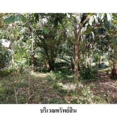 ขายที่ดินว่างเปล่า ถนน สายกะลาพอ-ปากู (ทล.4074) ตำบล ปล่องหอย อำเภอ กะพ้อ จังหวัด ปัตตานี