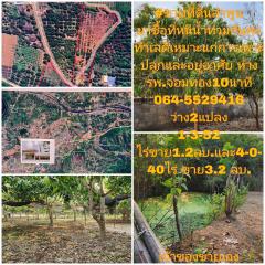 ขายที่ดินถมแล้ว 4-0-40 ไร่ น้ำไม่ท่วม เหมาะแก่การทำสวนและปลูกบ้าน ต.หนองปลาสะวาย อ.บ้านโฮ่ง จ.ลำพูน-202512121425491765524349269.jpg