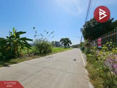 ขายบ้านเดี่ยวพร้อมที่ดิน เนื้อที่ 1 งาน 13 ตารางวา หนองขาม ศรีราชา ชลบุรี-202512121518371765527517958.jpg