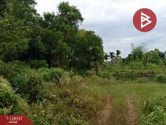 ขายที่ดินสวนยาง เนื้อที่ 23 ไร่ 1 งาน 10 ตารางวา นายายอาม จันทบุรี-202512121601531765530113057.jpg