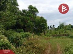 ขายที่ดินสวนยาง เนื้อที่ 23 ไร่ 1 งาน 10 ตารางวา นายายอาม จันทบุรี-202512121601531765530113584.jpg