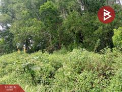 ขายที่ดินสวนยาง เนื้อที่ 23 ไร่ 1 งาน 10 ตารางวา นายายอาม จันทบุรี-202512121601541765530114109.jpg