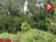 ขายที่ดินสวนยาง เนื้อที่ 23 ไร่ 1 งาน 10 ตารางวา นายายอาม จันทบุรี-202512121601541765530114644.jpg