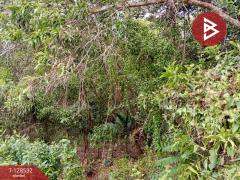 ขายที่ดินสวนยาง เนื้อที่ 23 ไร่ 1 งาน 10 ตารางวา นายายอาม จันทบุรี-202512121601551765530115174.jpg