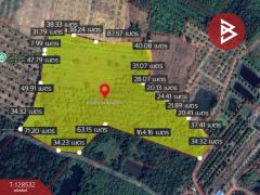 ขายที่ดินสวนยาง เนื้อที่ 23 ไร่ 1 งาน 10 ตารางวา นายายอาม จันทบุรี-202512121601551765530115719.jpg