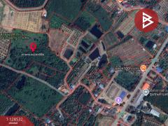 ขายที่ดินสวนยาง เนื้อที่ 23 ไร่ 1 งาน 10 ตารางวา นายายอาม จันทบุรี-202512121601561765530116250.jpg