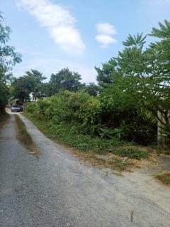 Vายด่วน ที่ดินบางสีทอง 677 ตารางวา ติดถนนสาธารณะ ทำเลดี ซอย นายพล อ.บางกรวย จ.นนทบุรี-202512121612271765530747086.jpeg