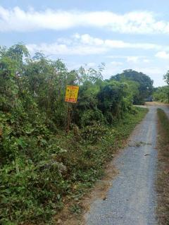 Vายด่วน ที่ดินบางสีทอง 677 ตารางวา ติดถนนสาธารณะ ทำเลดี ซอย นายพล อ.บางกรวย จ.นนทบุรี-202512121612271765530747649.jpeg