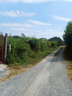 Vายด่วน ที่ดินบางสีทอง 677 ตารางวา ติดถนนสาธารณะ ทำเลดี ซอย นายพล อ.บางกรวย จ.นนทบุรี-202512121612281765530748213.jpeg