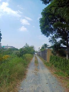 Vายด่วน ที่ดินบางสีทอง 677 ตารางวา ติดถนนสาธารณะ ทำเลดี ซอย นายพล อ.บางกรวย จ.นนทบุรี-202512121612291765530749912.jpeg