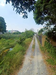 Vายด่วน ที่ดินบางสีทอง 677 ตารางวา ติดถนนสาธารณะ ทำเลดี ซอย นายพล อ.บางกรวย จ.นนทบุรี-202512121612301765530750467.jpeg