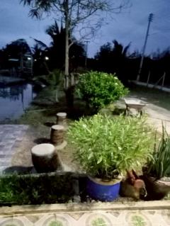 ขายที่ดินพร้อมบ้านสวน 1 ไร่ 152 ตรว. ต.ช่องสาริกา อ.พัฒนานิคม จ.ลพบุรี-202512121614071765530847743.jpg