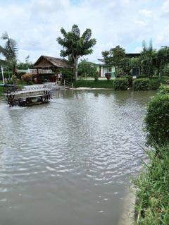 ขายที่ดินพร้อมบ้านสวน 1 ไร่ 152 ตรว. ต.ช่องสาริกา อ.พัฒนานิคม จ.ลพบุรี-202512121614081765530848882.jpg