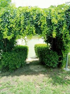 ขายที่ดินพร้อมบ้านสวน 1 ไร่ 152 ตรว. ต.ช่องสาริกา อ.พัฒนานิคม จ.ลพบุรี-202512121614121765530852311.jpg