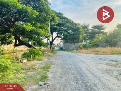  ขายที่ดินพร้อมกิจการห้องเช่า เนื้อที่ 1 ไร่ บางพลี สมุทรปราการ ใกล้แยกคลองขุด-202512121624511765531491963.jpg