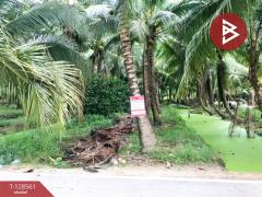 ขายที่ดินสวนมะพร้าวน้ำหอม เนื้อที่ 5 ไร่ 66 ตารางวา บางคนที สมุทรสงคราม