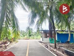 ขายที่ดินสวนมะพร้าวน้ำหอม เนื้อที่ 5 ไร่ 66 ตารางวา บางคนที สมุทรสงคราม-202512121635161765532116315.jpg