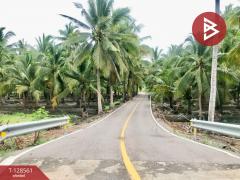 ขายที่ดินสวนมะพร้าวน้ำหอม เนื้อที่ 5 ไร่ 66 ตารางวา บางคนที สมุทรสงคราม-202512121635161765532116845.jpg