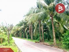 ขายที่ดินสวนมะพร้าวน้ำหอม เนื้อที่ 5 ไร่ 66 ตารางวา บางคนที สมุทรสงคราม-202512121635171765532117451.jpg