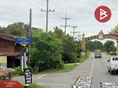 ขายที่ดินสวนมะพร้าวน้ำหอม เนื้อที่ 5 ไร่ 66 ตารางวา บางคนที สมุทรสงคราม-202512121635191765532119035.jpg