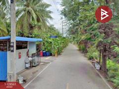 ขายที่ดินสวนมะพร้าวน้ำหอม เนื้อที่ 5 ไร่ 66 ตารางวา บางคนที สมุทรสงคราม-202512121635191765532119573.jpg