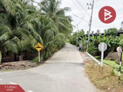 ขายที่ดินสวนมะพร้าวน้ำหอม เนื้อที่ 5 ไร่ 66 ตารางวา บางคนที สมุทรสงคราม-202512121635201765532120101.jpg