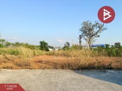 ขายที่ดินจัดสรร เนื้อที่ 2 งาน 90.3 ตารางวา ท่าช้าง จันทบุรี-202512121652361765533156358.jpg