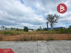 ขายที่ดินจัดสรร เนื้อที่ 2 งาน 90.3 ตารางวา ท่าช้าง จันทบุรี-202512121652361765533156968.jpg