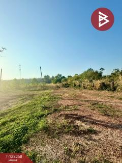 ขายที่ดินจัดสรร เนื้อที่ 2 งาน 90.3 ตารางวา ท่าช้าง จันทบุรี-202512121652371765533157497.jpg