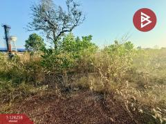 ขายที่ดินจัดสรร เนื้อที่ 2 งาน 90.3 ตารางวา ท่าช้าง จันทบุรี-202512121652381765533158823.jpg