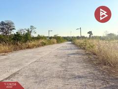 ขายที่ดินจัดสรร เนื้อที่ 2 งาน 90.3 ตารางวา ท่าช้าง จันทบุรี-202512121652391765533159410.jpg