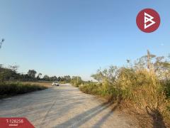 ขายที่ดินจัดสรร เนื้อที่ 2 งาน 90.3 ตารางวา ท่าช้าง จันทบุรี-202512121652391765533159940.jpg