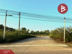 ขายที่ดินจัดสรร เนื้อที่ 2 งาน 90.3 ตารางวา ท่าช้าง จันทบุรี-202512121652401765533160462.jpg