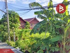 ขายที่ดิน เนื้อที่ 50 ตร.วา บางพลี สมุทรปราการ-202512121737251765535845501.jpg